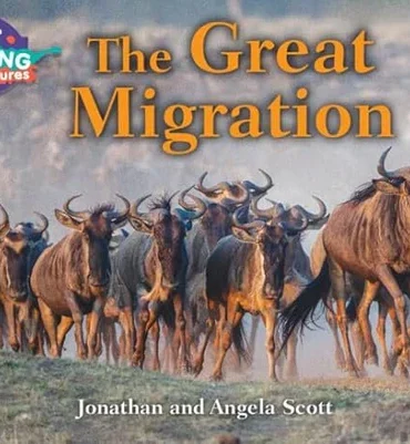 Cambridge Reading Adventures Band-Orange :" The Great Migration