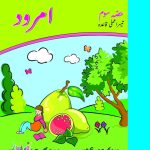 Amrood Amli-3