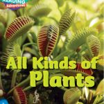 Cambridge Reading Adventures :Blue Band All Kind Of Plants